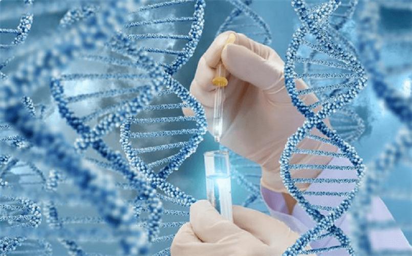 包成功试管代怀费用多少【成功试管代怀费用多少?全面解析试管婴儿代孕费用】